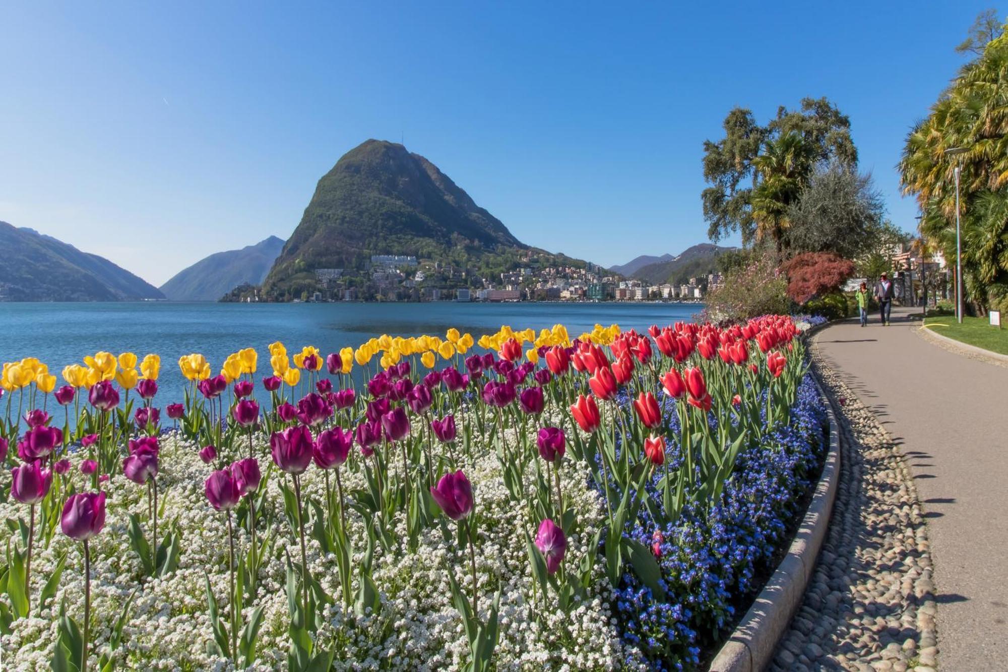 Ca' Gina Panoramica Lejlighed Lugano Eksteriør billede